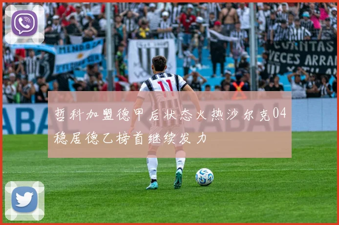 哲科加盟德甲后状态火热沙尔克04稳居德乙榜首继续发力